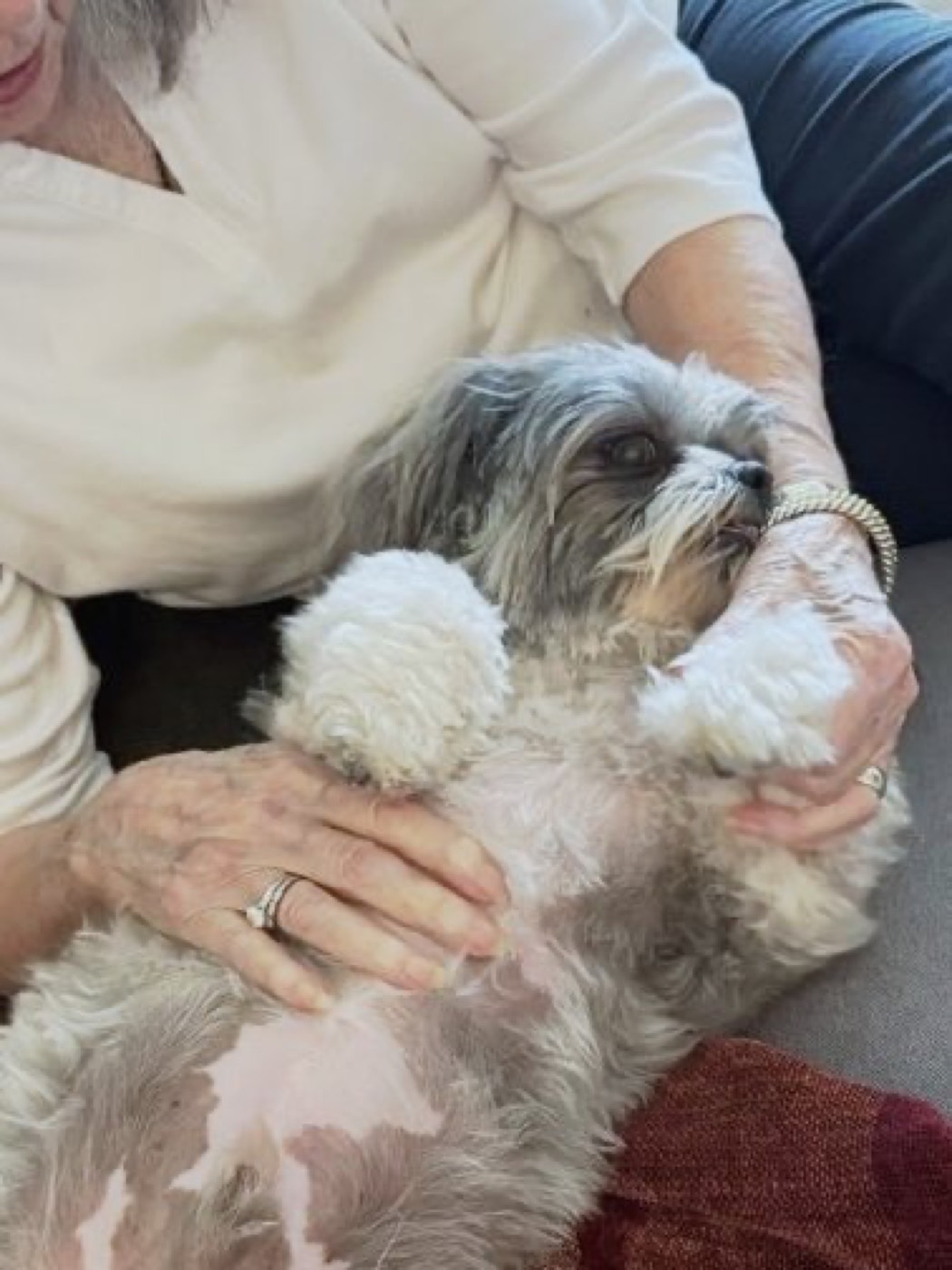 A resident cradling a content little dog in their lap.